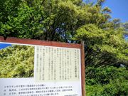 ̂˖т̃gL}TN̓eʐ^1