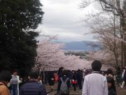 ̂肳̋sscnS  Rw̓eʐ^1