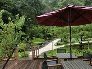 ɂǂ񂳂̒͌pق̓eʐ^2