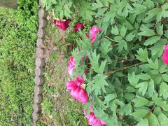 ܂邳̙֑ɗ̓ւ̓eʐ^1