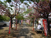 asamiy̑告͕s吹̓eʐ^3