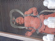 asamiy̑吹̎R̓eʐ^3