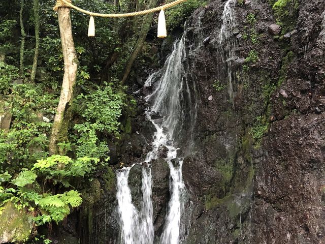 ��̎ʐ^_�ʗ��̑�