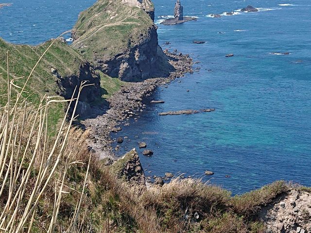 �W�]�䂩��̌i�F_�_�Ж�