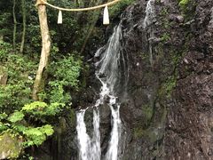 �ʗ��̑�̎ʐ^1