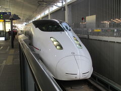 �n���e����̂i�q�F�{�w�ւ̓��e�ʐ^1