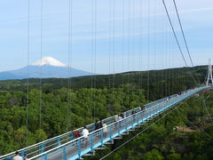 ͂܂񂳂̎OXJCEH[Nւ̓eʐ^1