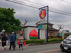 hardaway̋Rx[hւ̓eʐ^1