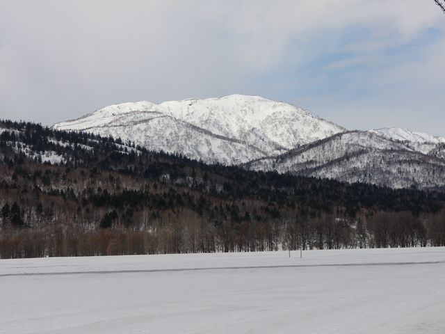 �y����������������_�O���R