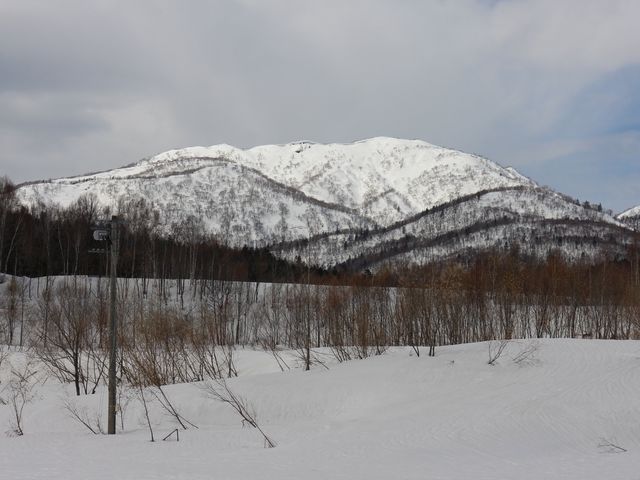 �����퉷�򂻂΂��_�O���R