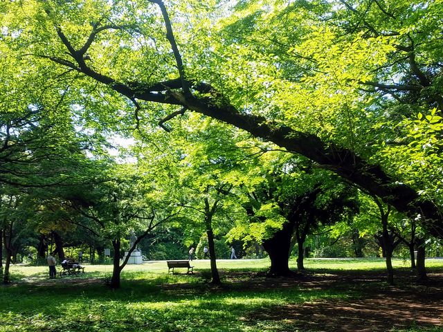 ���c����q��L�O����