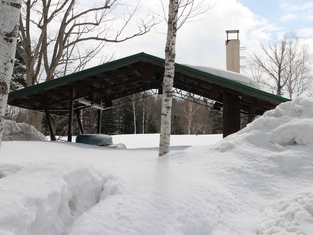 ������_��f���ΔȃL�����v��