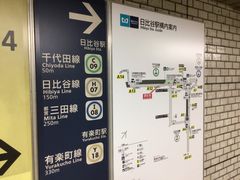 �^�a���D����̓s�c�O�c�� ����J�w�ւ̓��e�ʐ^1