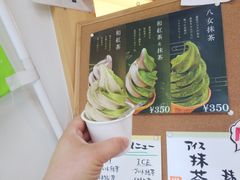 �H�R����݂̂�܎s�ό��ē����ւ̓��e�ʐ^1