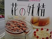 ݂̃~[WAXg@Ԃ̗d̓eʐ^1