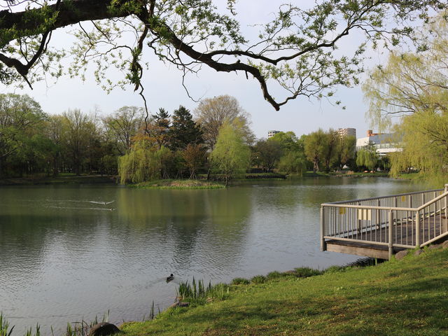 �����ɂ���傫�Ȓr�ł��B_��������