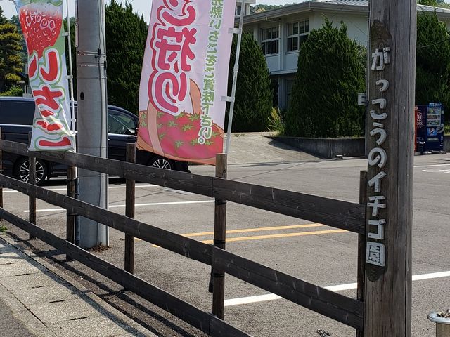 ���̂̂ڂ肪�ڈ�ɂȂ�܂��B_���������̃C�`�S���u���c��v