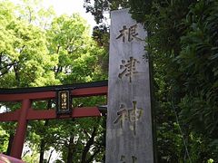 �T�[�x���^�C�K�[����̍��Ð_�Ђւ̓��e�ʐ^1