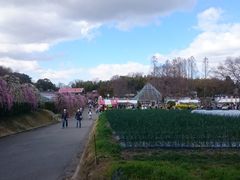 És_ƃZ^[@delaӂ[ނ̎ʐ^6