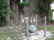 jkammy07����̒ߗ䔪���{�̓��e�ʐ^11