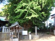 jkammy07����̒ߗ䔪���{�̓��e�ʐ^15