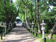 jkammy07����̒ߗ䔪���{�̓��e�ʐ^17