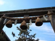 jkammy07����̒ߗ䔪���{�̓��e�ʐ^3