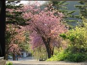 Ă̎l\ꉷiَsVlZ^[j̓eʐ^2