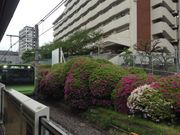 Ё[񂳂̋w̃ccW̓eʐ^1