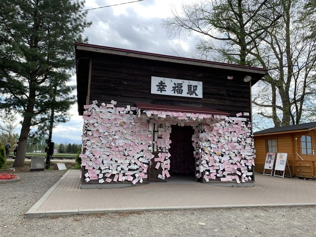 �K���w_�K���w�i�K���S�������j