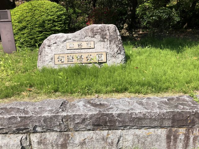 ���������_���������