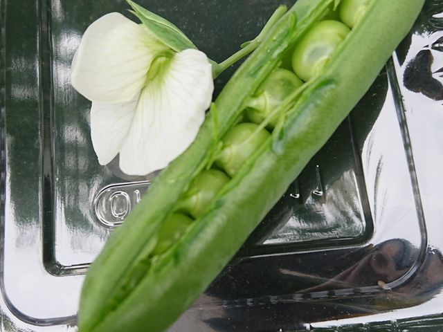 Os[XzIȗƓ肶IƃeV܂BWw_OgRЂȂt@[