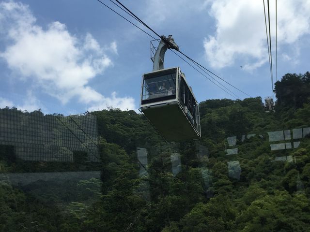 ���[�v�E�G�C�Ń��X����_���؎R���X��