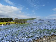 �L������̍��c�Ђ����C�l�����ւ̓��e�ʐ^1