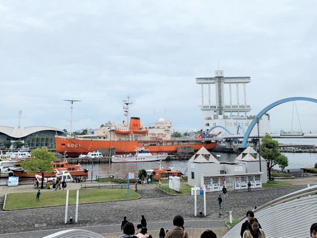 南極観測船ふじ_南極観測船ふじ