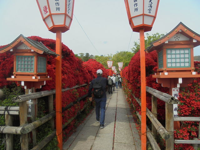 �����V���{�̃L���V�}�c�c�W_�����V���{�i�������r�j�̃L���V�}�c�c�W