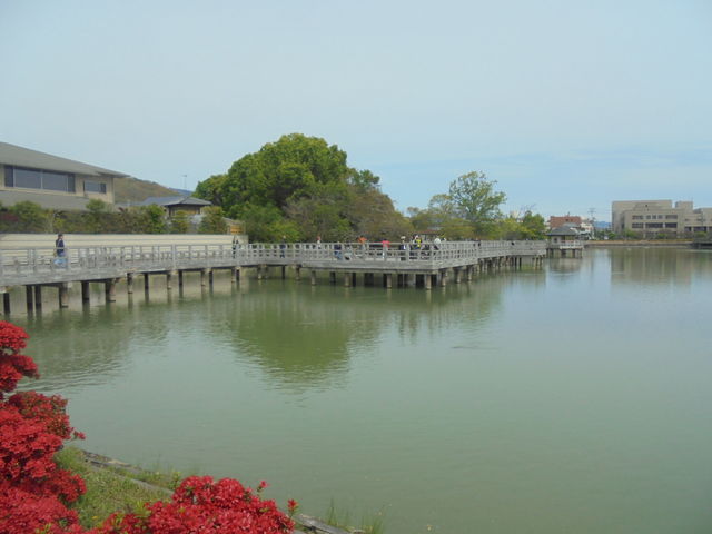 �������r_�����V���{�@�������r