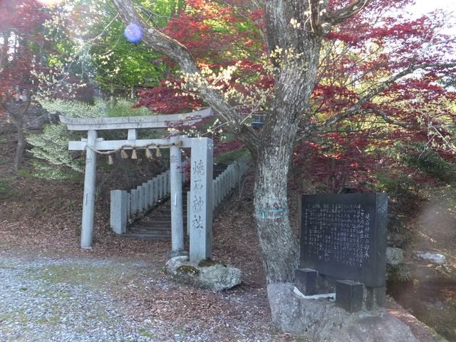 ڂ炳̏Đΐ_Ђ̓eʐ^1