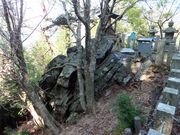 ڂ炳̏Đΐ_Ђ̓eʐ^1