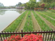 ̔Prr̃nXEAEVEuEJLco^EXC̓eʐ^1