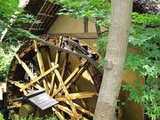 �T�[�x���^�C�K�[����̐[�厛���Ԋق̓��e�ʐ^1