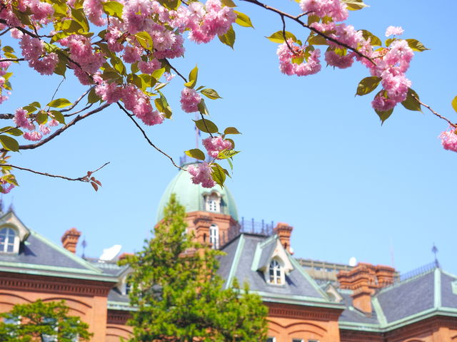 ���ɂƔ��d��_�k�C�������{����(�Ԃ�񂪒���)