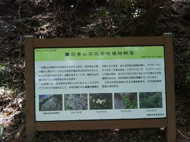 ��������񂳂�̐Ί��R�ΊD��n�A���Q���̓��e�ʐ^1