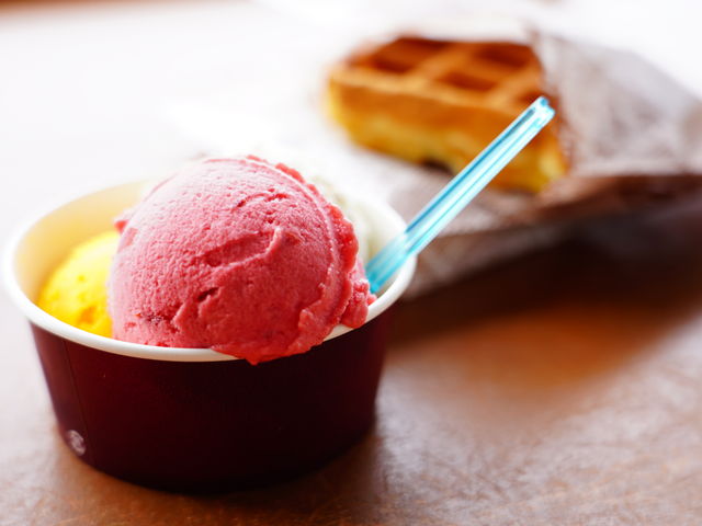 悳̂fdk`sdqh`@lhqshkkn̓eʐ^1