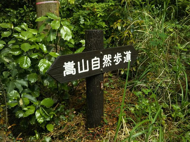 �V�����ē���_���R���R����