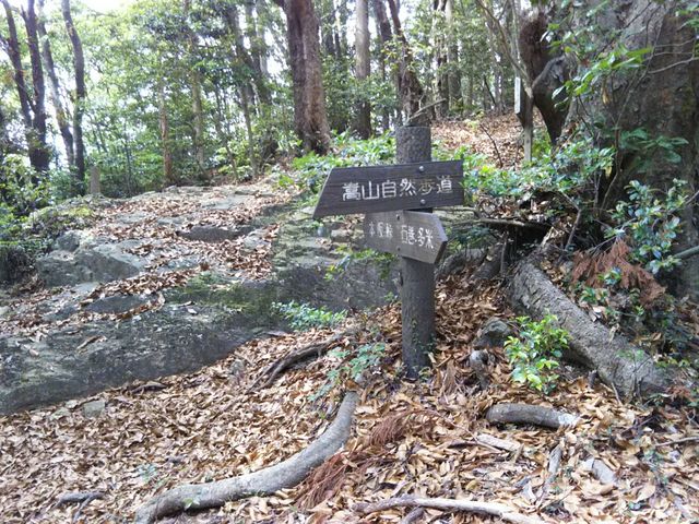 �Ő��̑�R��ԎЕt��_���R���R����