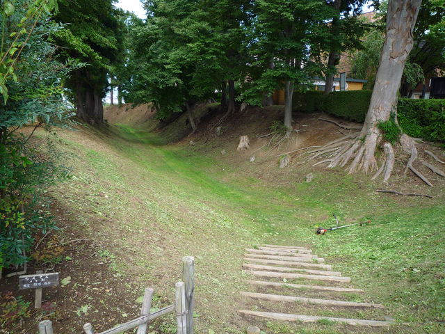 �x_�����