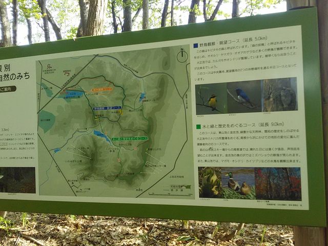 �ē���_�����ʎ��R�����i�����ʌ����сj