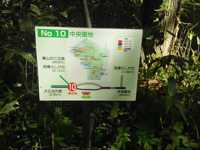 ����_�ł̈ē���_�����ʎ��R�����i�����ʌ����сj