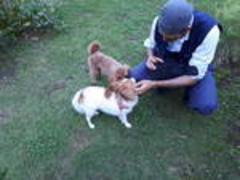 [񂳂̃KXH[ARXւ̓eʐ^1